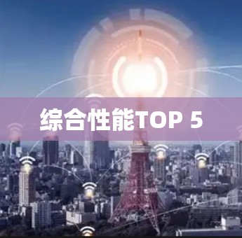 综合性能TOP 5