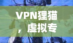 VPN狸猫，虚拟专用网络的隐蔽性与风险