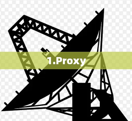 1.Proxy