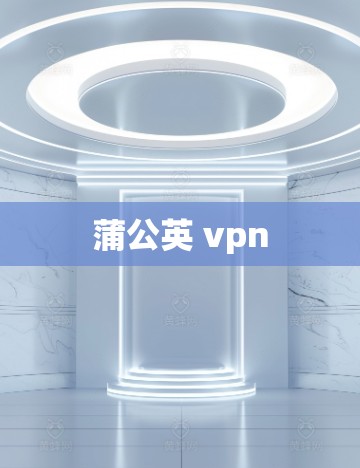 蒲公英 vpn