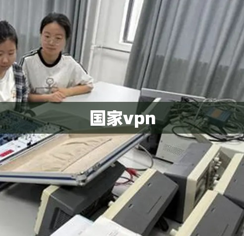 国家vpn