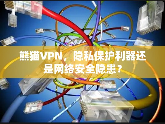熊猫VPN，隐私保护利器还是网络安全隐患？