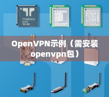 OpenVPN示例（需安装openvpn包）