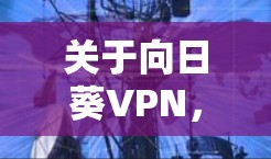 关于向日葵VPN，目前没有明确信息表明这是一款正式存在的VPN服务。可能存在以下情况