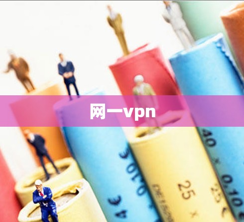 网一vpn