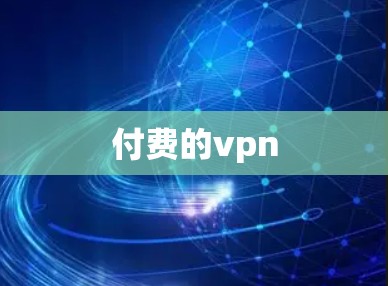 付费的vpn