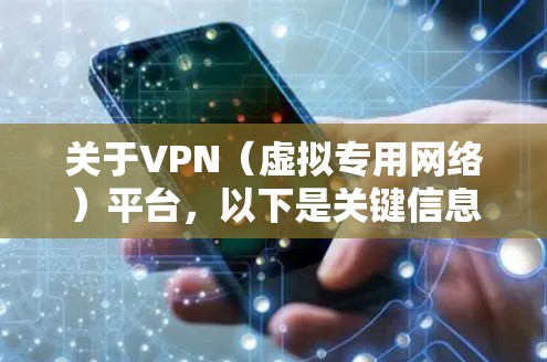 关于VPN（虚拟专用网络）平台，以下是关键信息总结，供参考