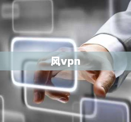 风vpn
