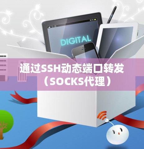 通过SSH动态端口转发（SOCKS代理）